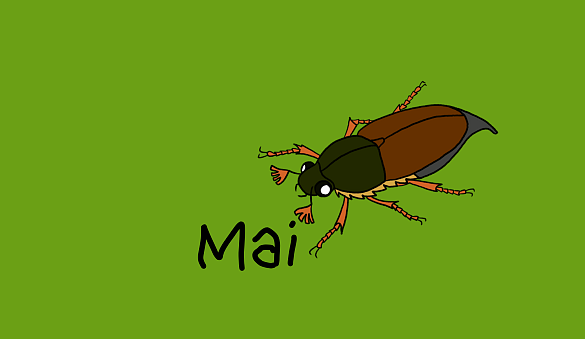 gemaltes Bild auf dem ein Maikäfer zu sehen ist. Daneben steht Mai.
