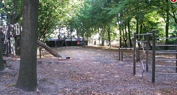 Spielplatz mit Nestschaukel